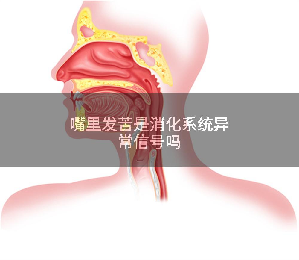 嘴里发苦是消化系统异常信号吗