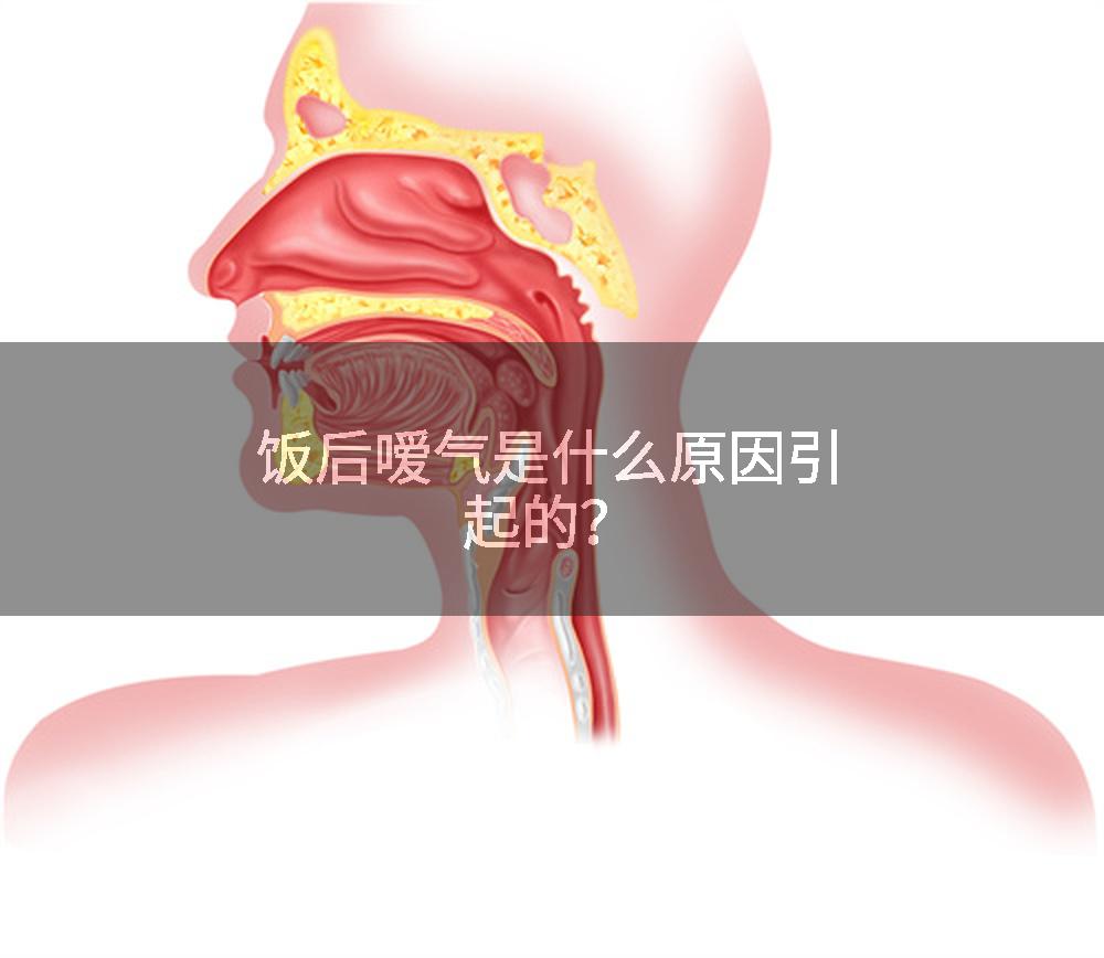 饭后嗳气是什么原因引起的？