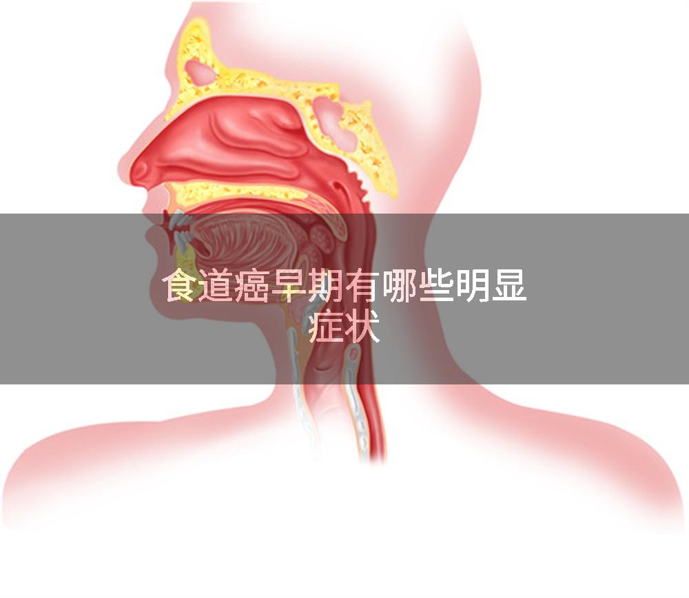 食道癌早期有哪些明显症状