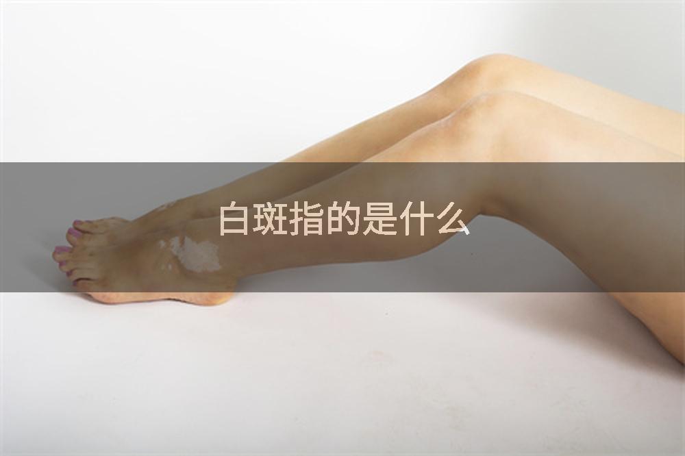 白斑指的是什么