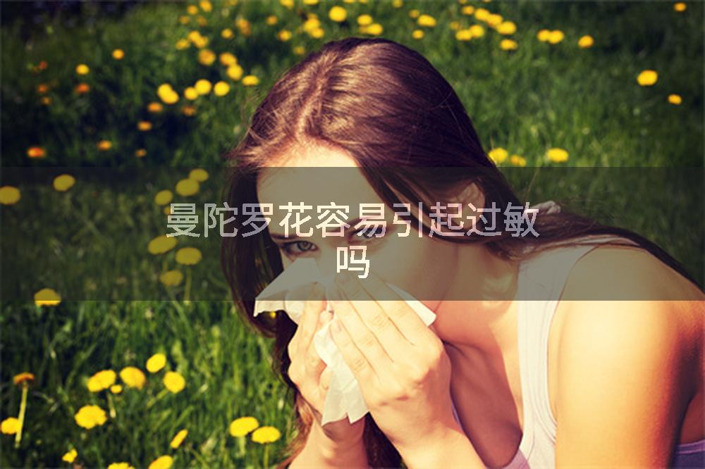 曼陀罗花容易引起过敏吗