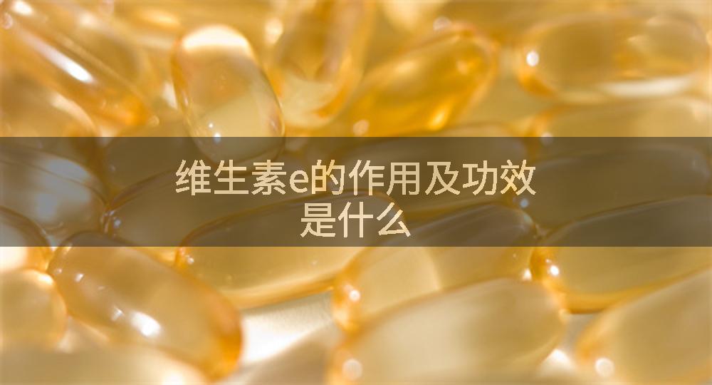 维生素e的作用及功效是什么