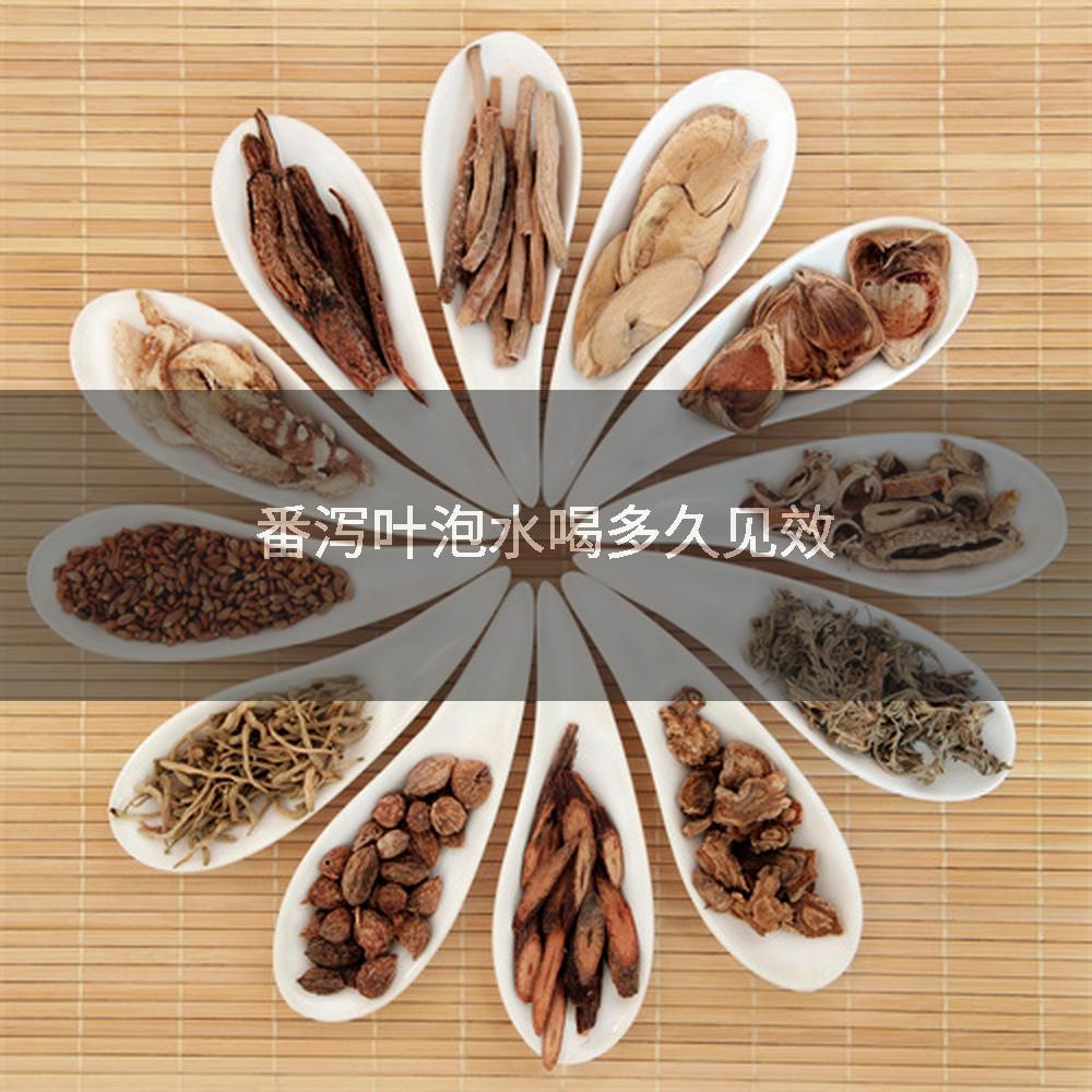 番泻叶泡水喝多久见效