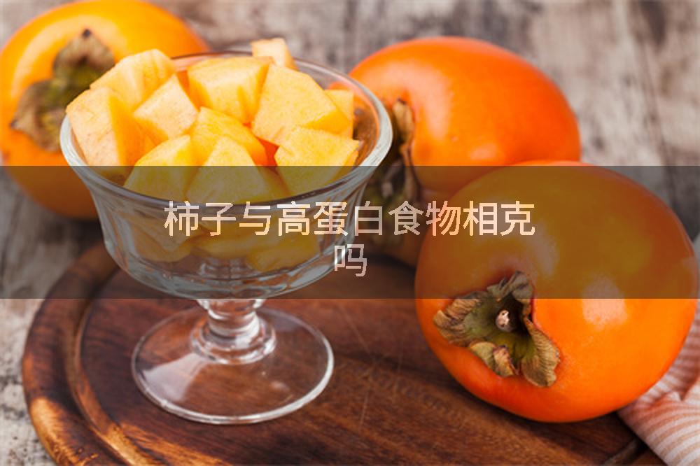 柿子与高蛋白食物相克吗
