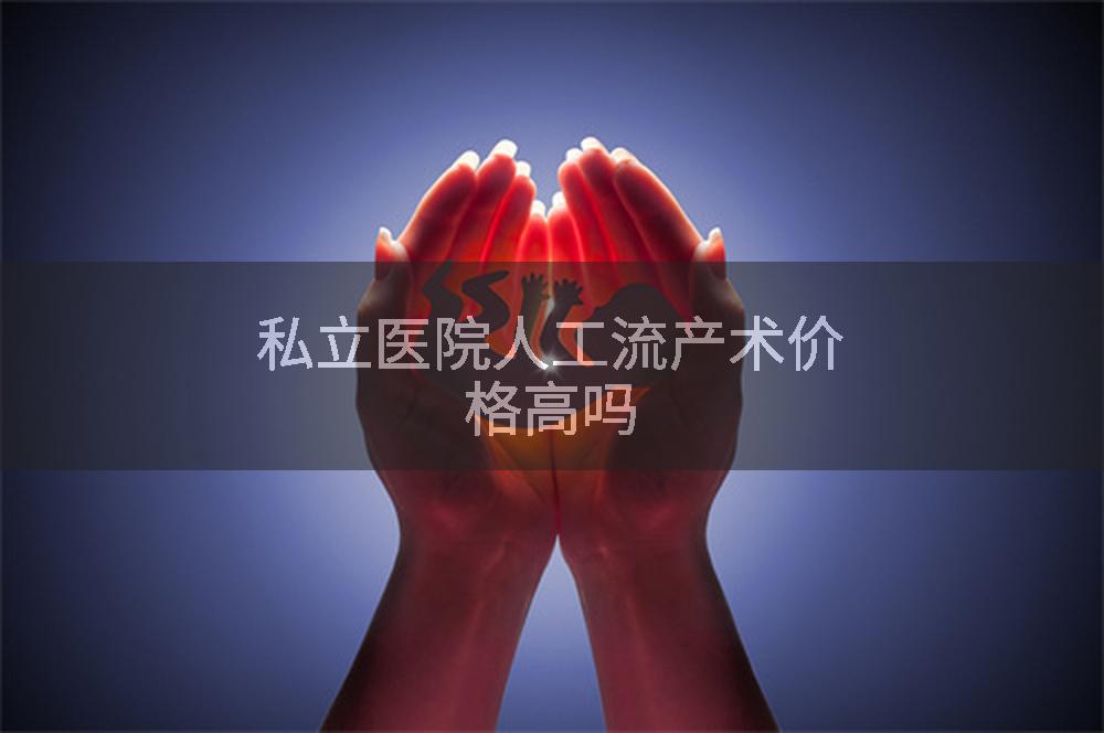 私立医院人工流产术价格高吗