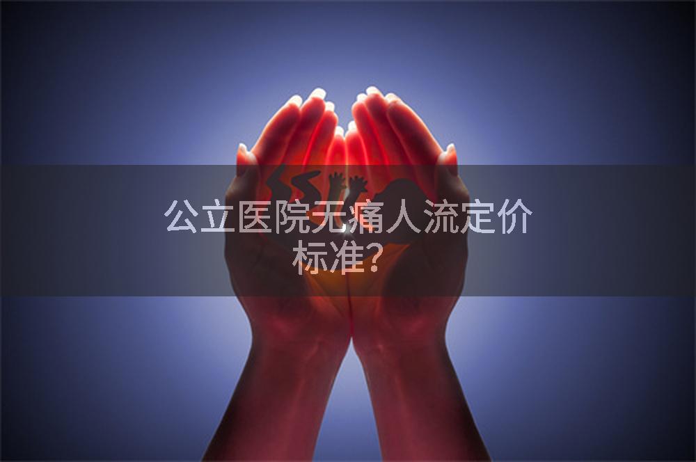 公立医院无痛人流定价标准？