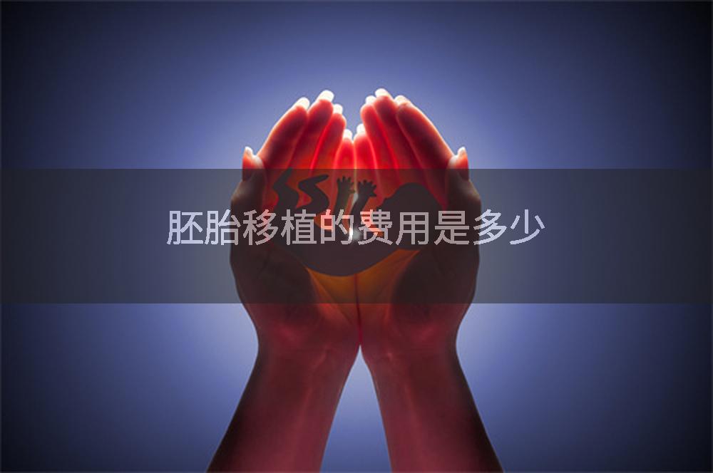 胚胎移植的费用是多少