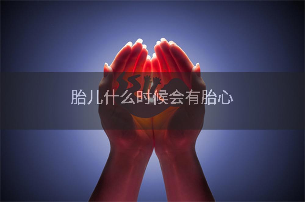 胎儿什么时候会有胎心
