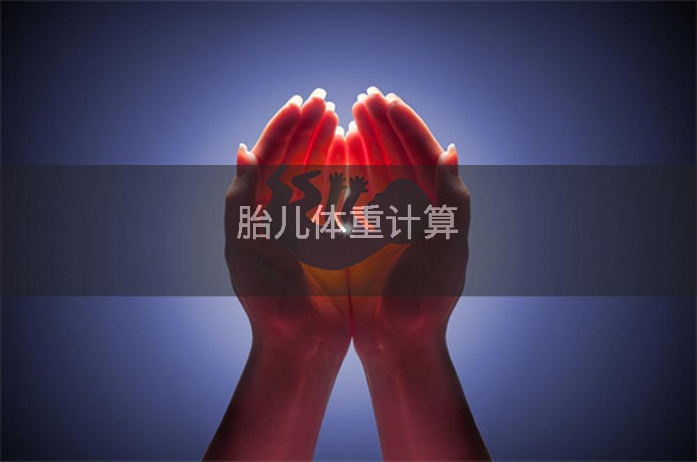 胎儿体重计算