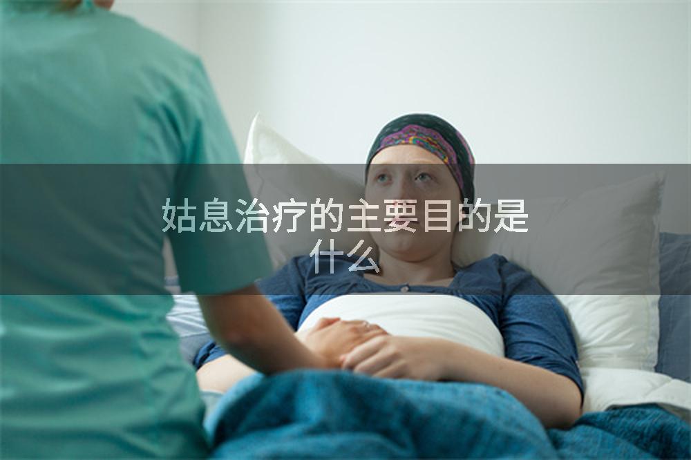 姑息治疗的主要目的是什么