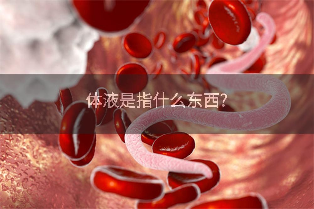 体液是指什么东西?