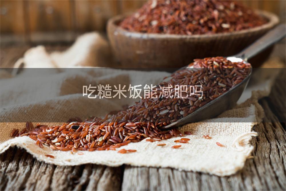 吃糙米饭能减肥吗