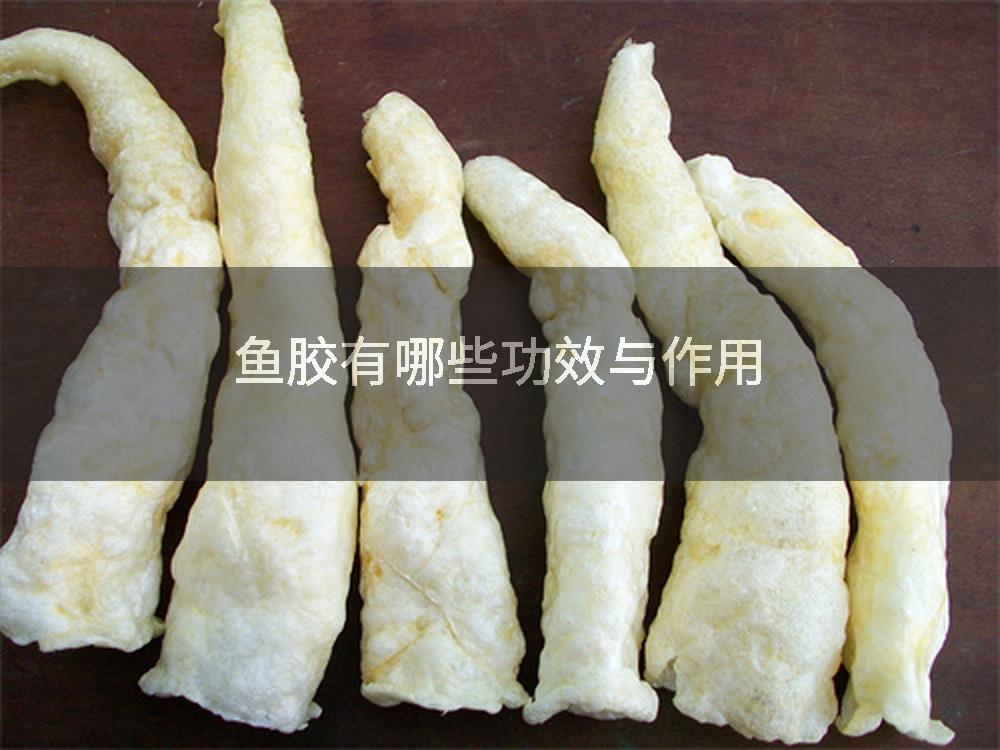 鱼胶有哪些功效与作用