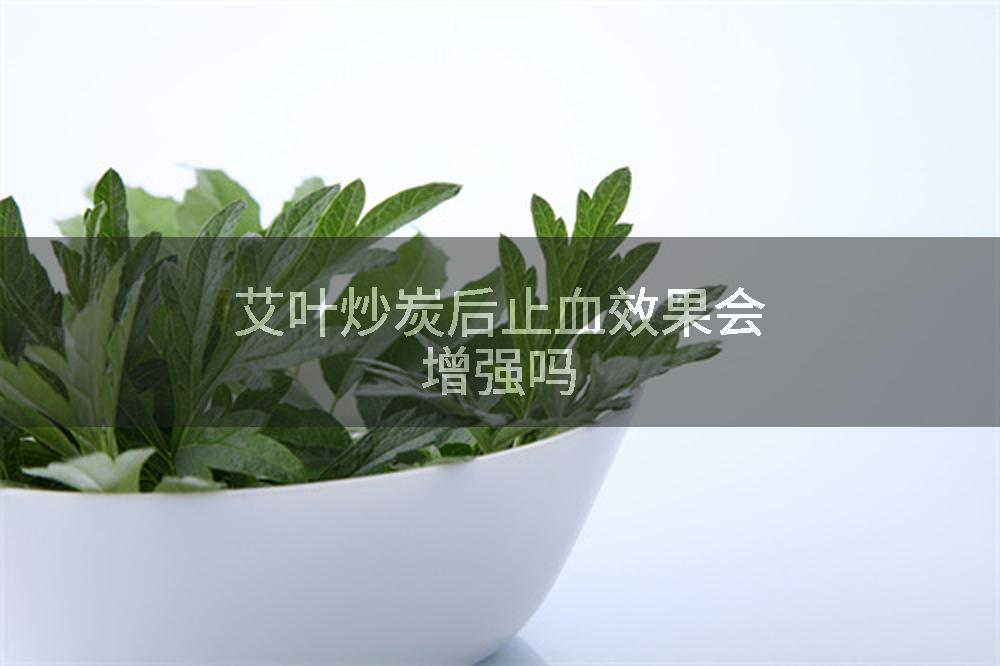 艾叶炒炭后止血效果会增强吗