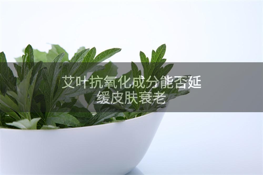艾叶抗氧化成分能否延缓皮肤衰老