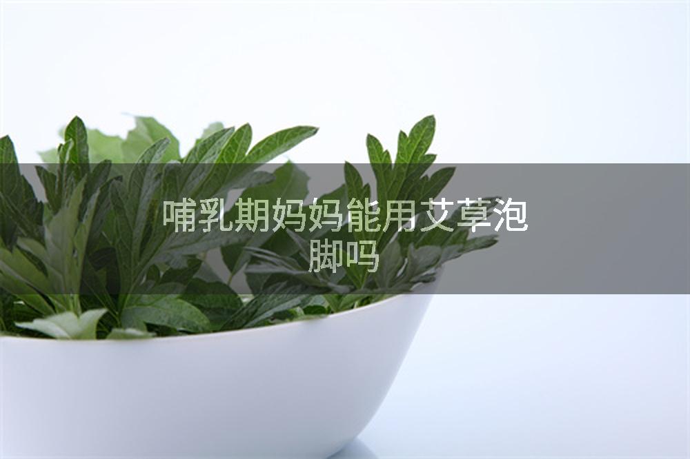 哺乳期妈妈能用艾草泡脚吗