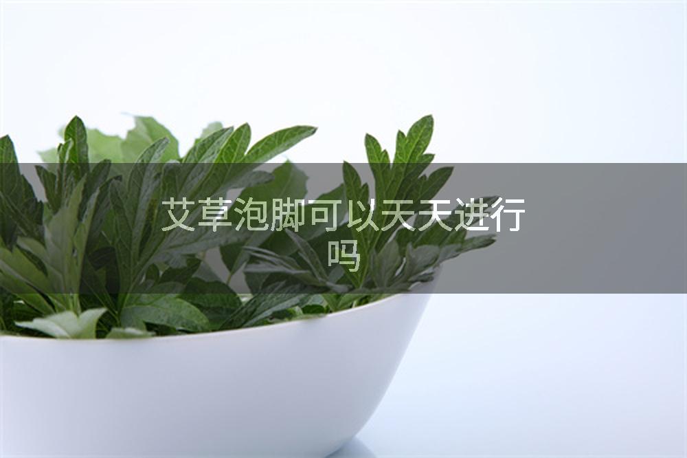 艾草泡脚可以天天进行吗
