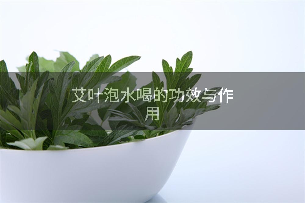 艾叶泡水喝的功效与作用