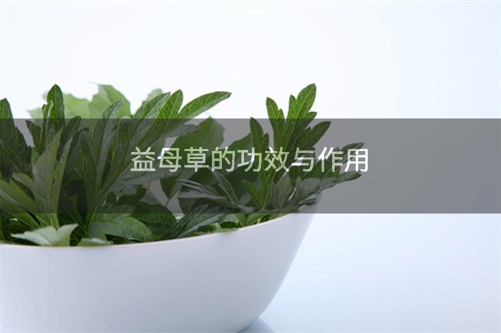 益母草的功效与作用