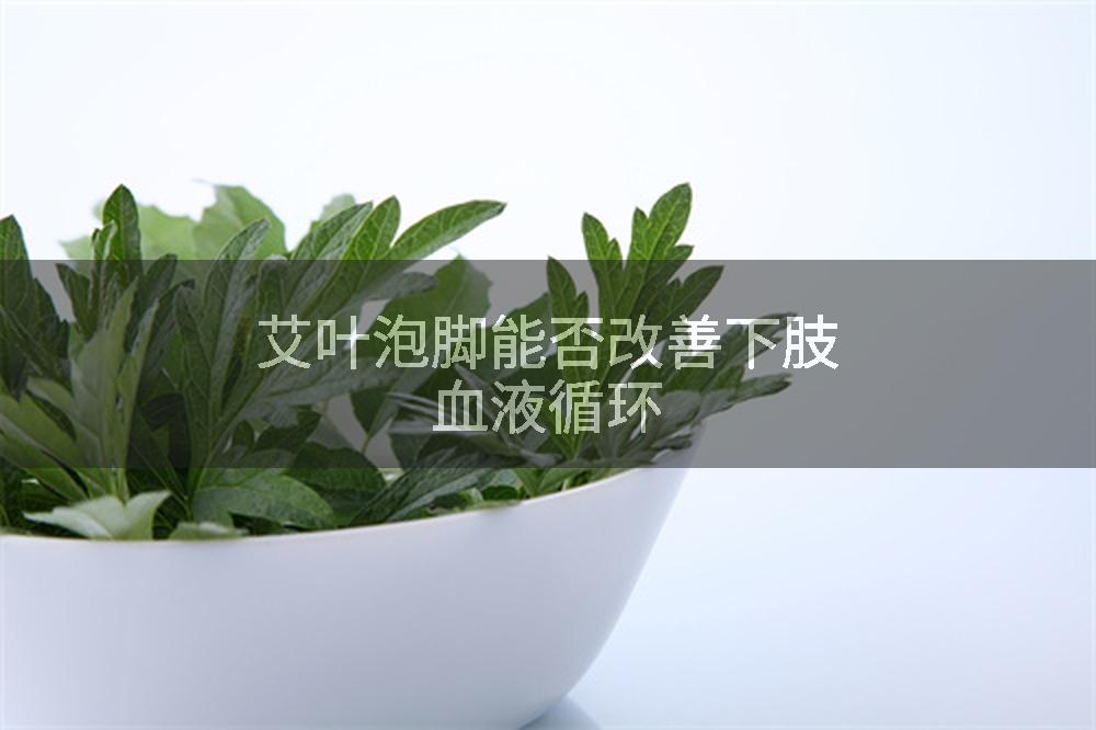 艾叶泡脚能否改善下肢血液循环