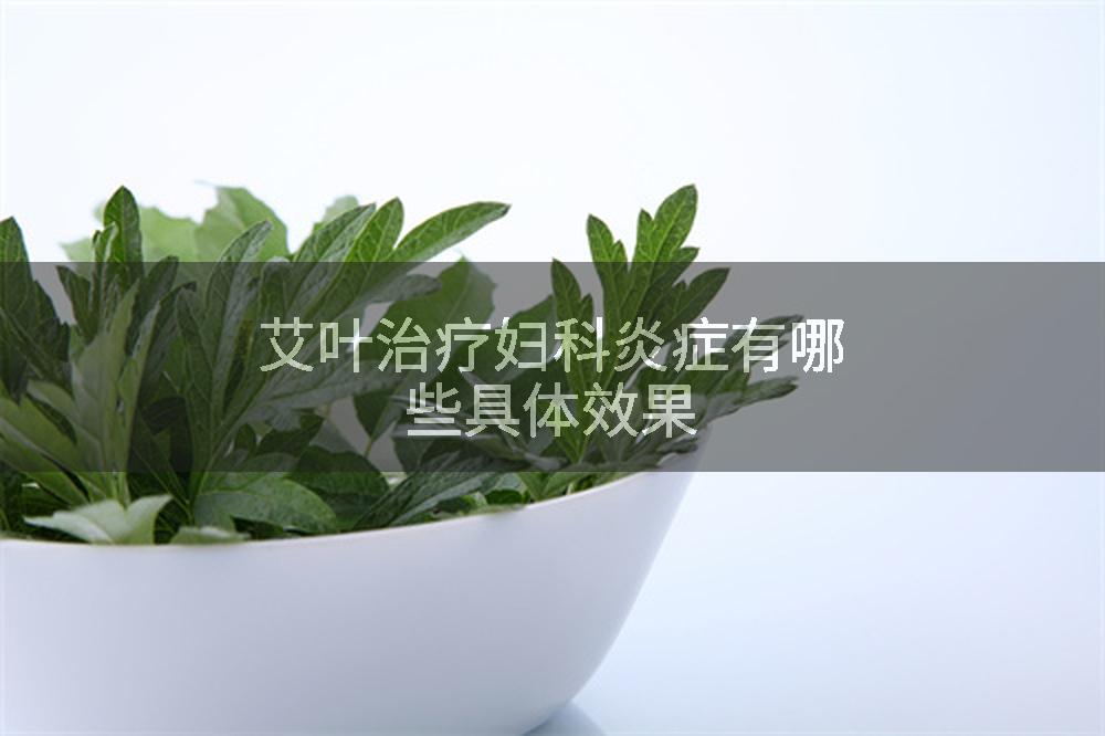 艾叶治疗妇科炎症有哪些具体效果