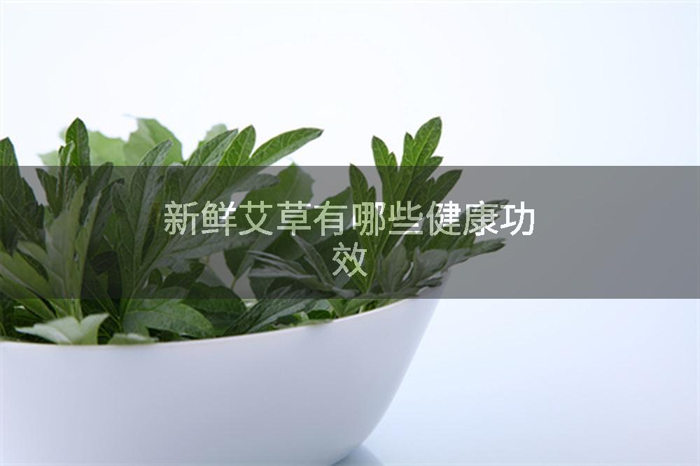 新鲜艾草有哪些健康功效