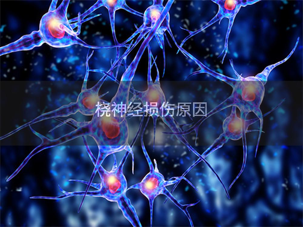 桡神经损伤原因