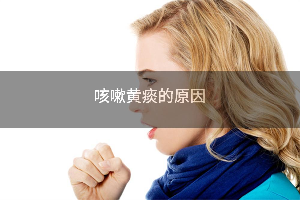 咳嗽黄痰的原因