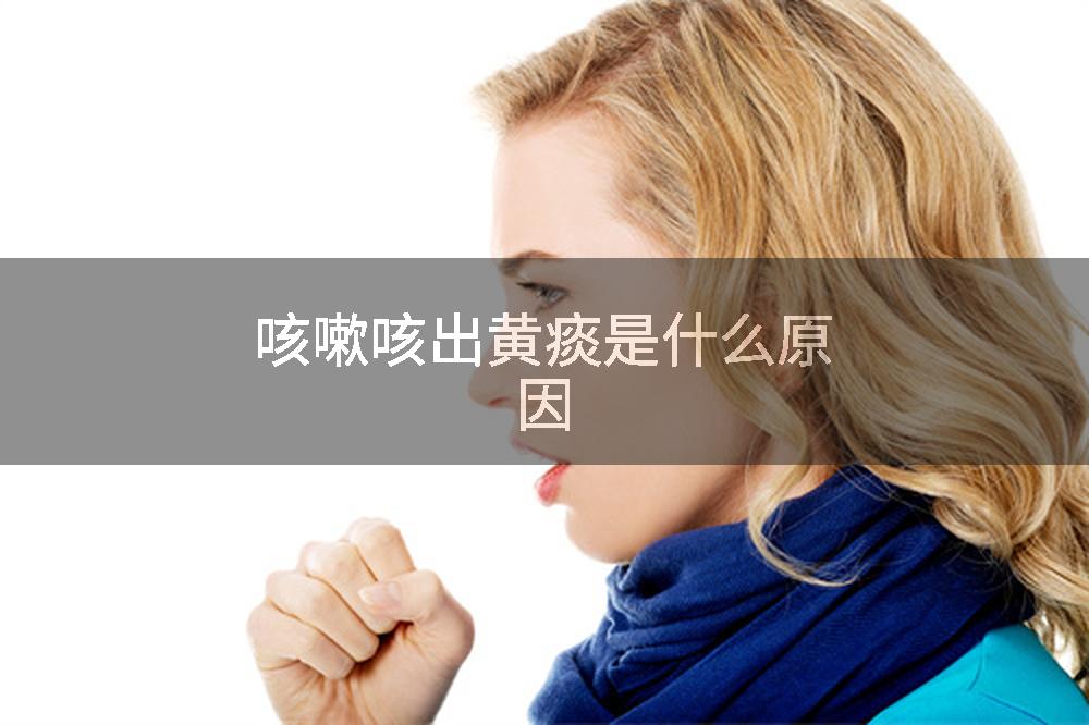 咳嗽咳出黄痰是什么原因