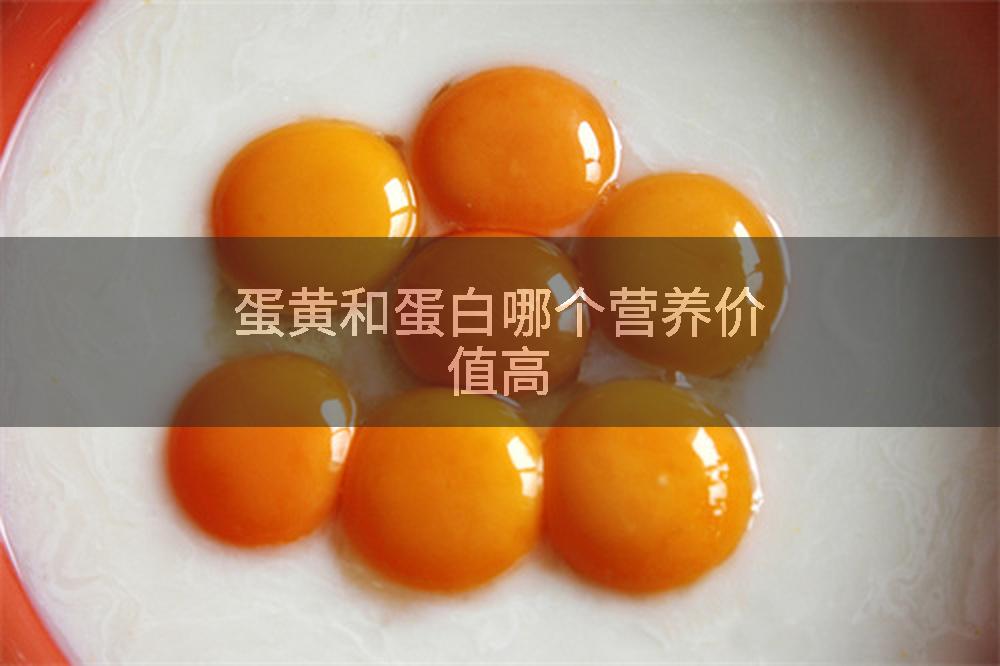 蛋黄和蛋白哪个营养价值高