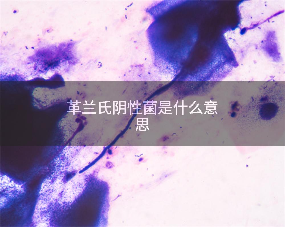 革兰氏阴性菌是什么意思