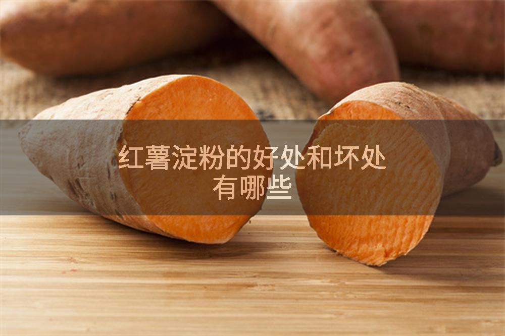 红薯淀粉的好处和坏处有哪些