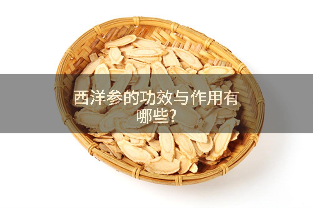 西洋参的功效与作用有哪些?