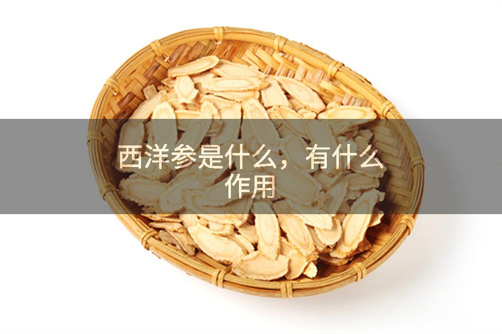 西洋参是什么，有什么作用