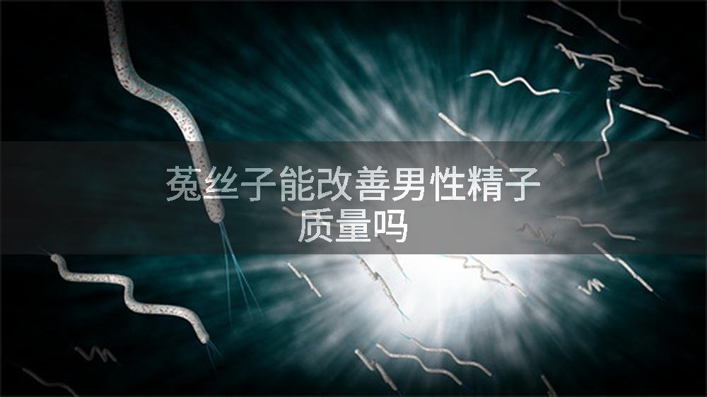 菟丝子能改善男性精子质量吗