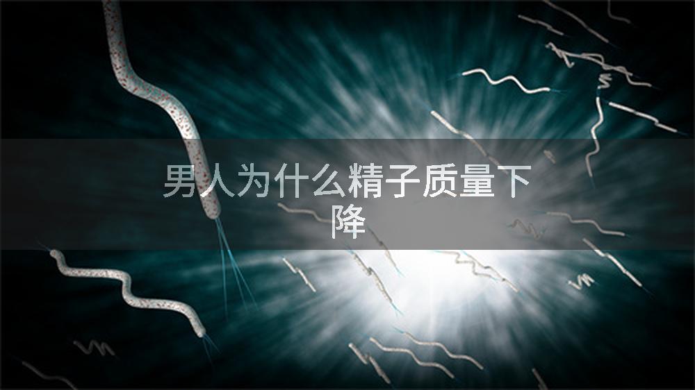 男人为什么精子质量下降