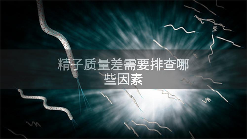 精子质量差需要排查哪些因素