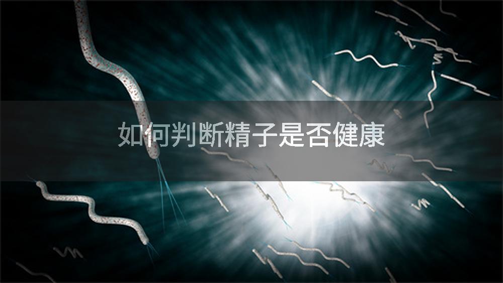 如何判断精子是否健康