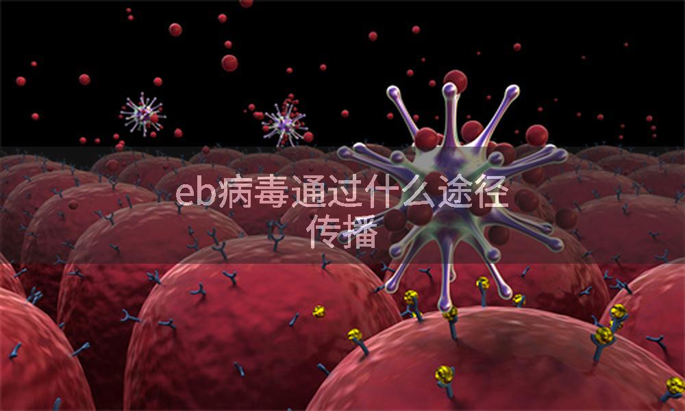 eb病毒通过什么途径传播