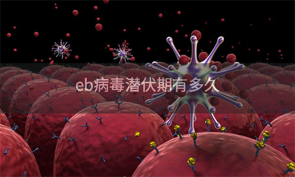 eb病毒潜伏期有多久
