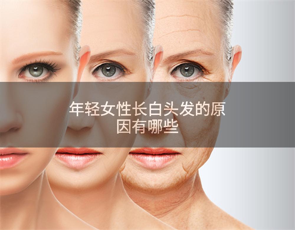 年轻女性长白头发的原因有哪些