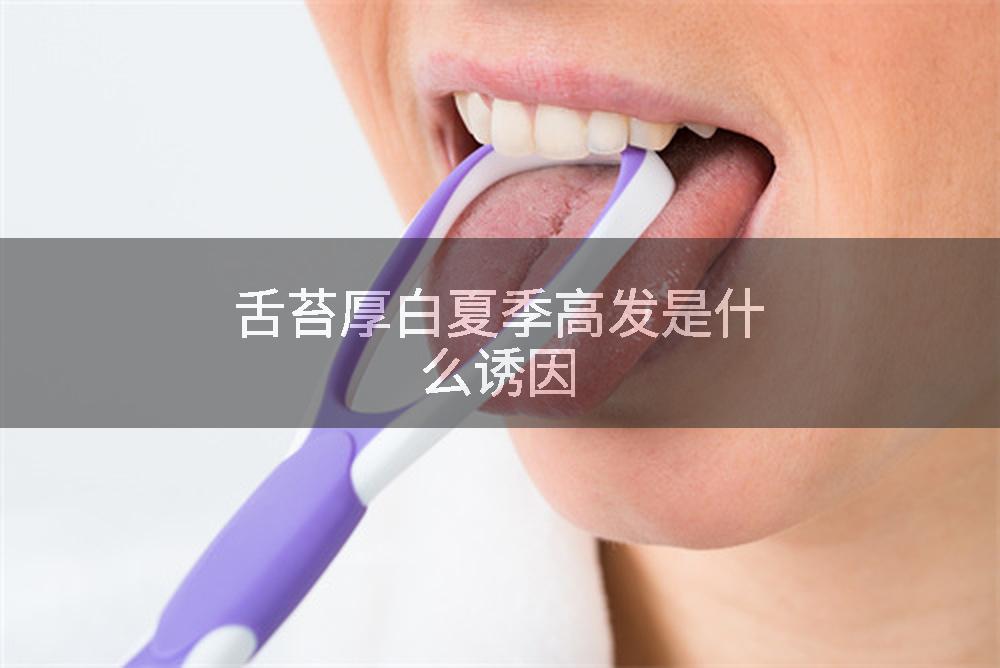 舌苔厚白夏季高发是什么诱因