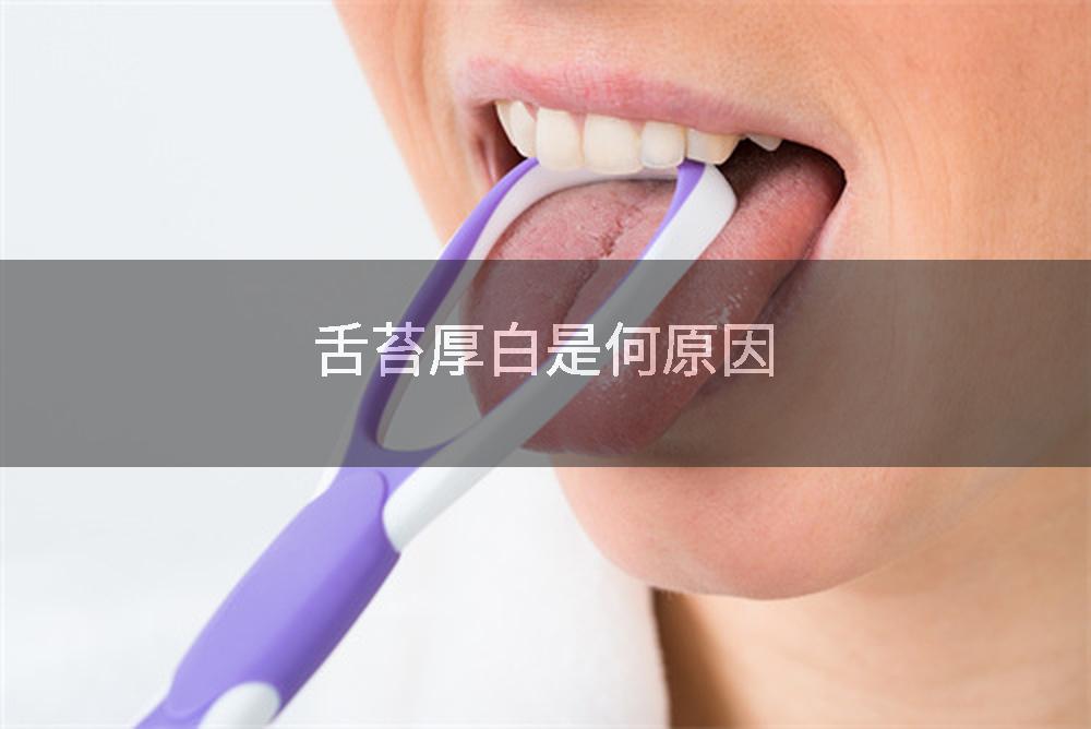 舌苔厚白是何原因