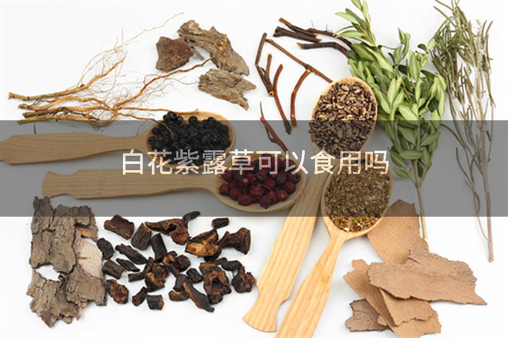 白花紫露草可以食用吗