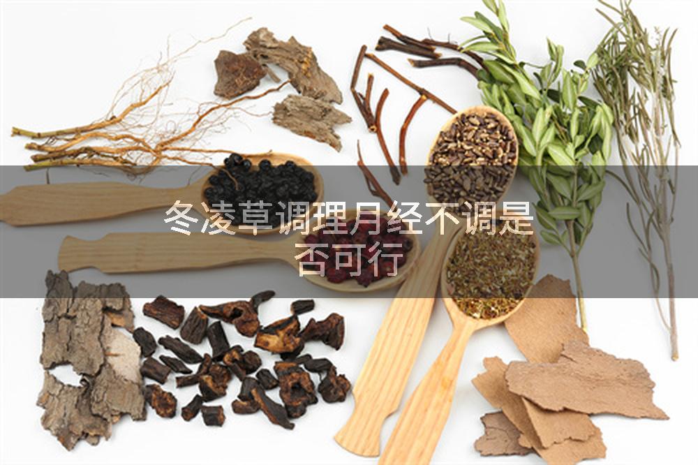 冬凌草调理月经不调是否可行