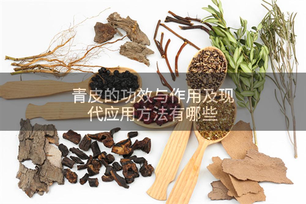 青皮的功效与作用及现代应用方法有哪些