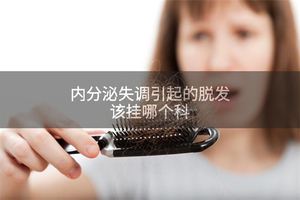 内分泌失调引起的脱发该挂哪个科
