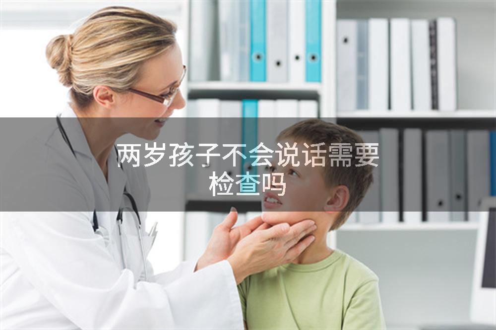 两岁孩子不会说话需要检查吗