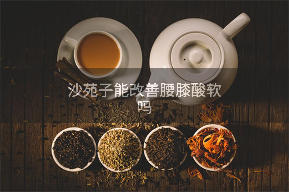 沙苑子能改善腰膝酸软吗