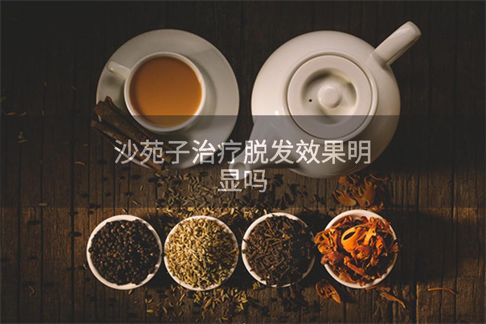 沙苑子治疗脱发效果明显吗